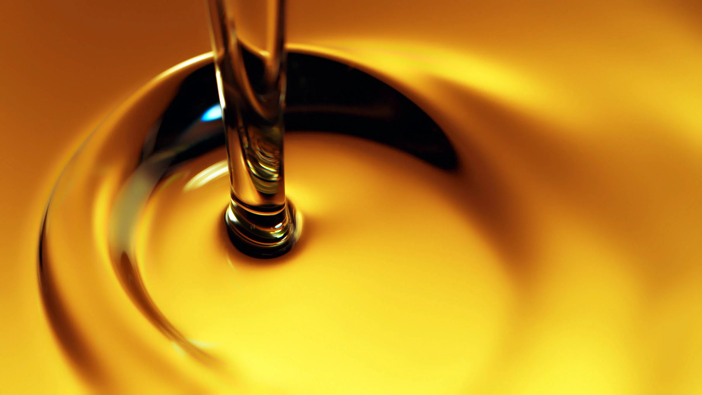 Non-Edible Oils & Derivatives